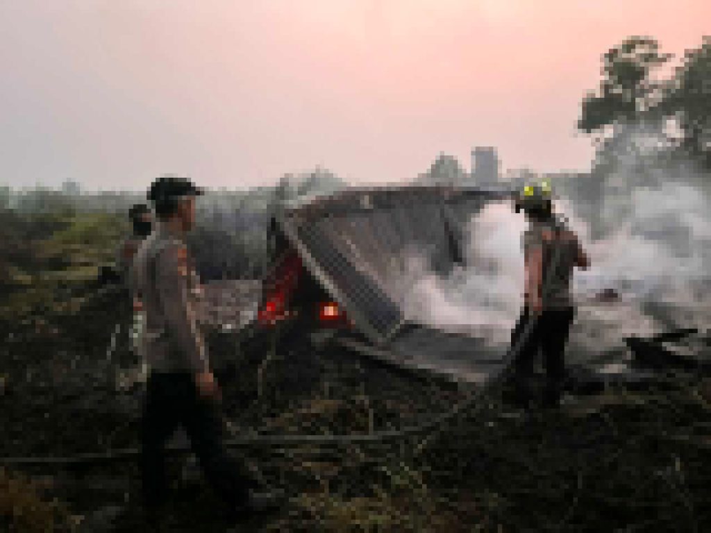 IMG-20260822-WA0299