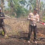 Kapolsek Mendahara Ilir Bersama Babinsa, Manggala Agni BPBD dan Masyarakat Kompak Lakukan Pendinginan Kebakaran Lahan di Dusun Malesonai Desa Lagan Ilir Tanjab Timur