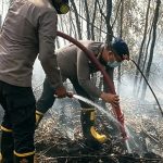 Bermandikan Keringat, Tak Menyurutkan Langkah Dansat Brimob Polda Kalsel Bersama Tim Karhutla Lakukan Pemadaman Kebakaran Lahan dengan Sistem Suntik Gambut Untuk Masyarakat