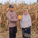 Sinergi Polri dan Petani, Kanit Binmas Polsek Lekok Kawal Produktivitas Lahan Jagung