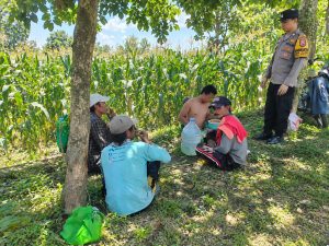 Polres Pasuruan Kota Dukung Ketahanan Pangan, Bhabinkamtibmas Dampingi Petani di Desa Sedarum