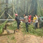 Aksi Sigap Polsek Amuntai Utara dan Warga Padamkan Karhutla di Teluk Daun, Api Hanya 10 Meter dari Pemukiman