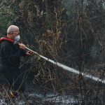 Kapolda Kalsel Turun Langsung Padamkan Kebakaran Lahan Gambut di Banjarbaru