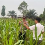 IMG-20261011-WA0051