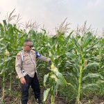 IMG-20261015-WA0315