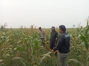 IMG-20261024-WA0197