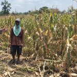 Bhabinkamtibmas Desa Pasinan Dampingi Petani Jagung, Dukung Ketahanan Pangan di Wilayah Lekok