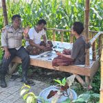 Bhabinkamtibmas Desa Penunggul Hadir di Tengah Petani, Wujudkan Polri yang Humanis