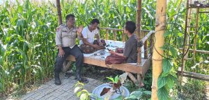 Bhabinkamtibmas Desa Penunggul Hadir di Tengah Petani, Wujudkan Polri yang Humanis