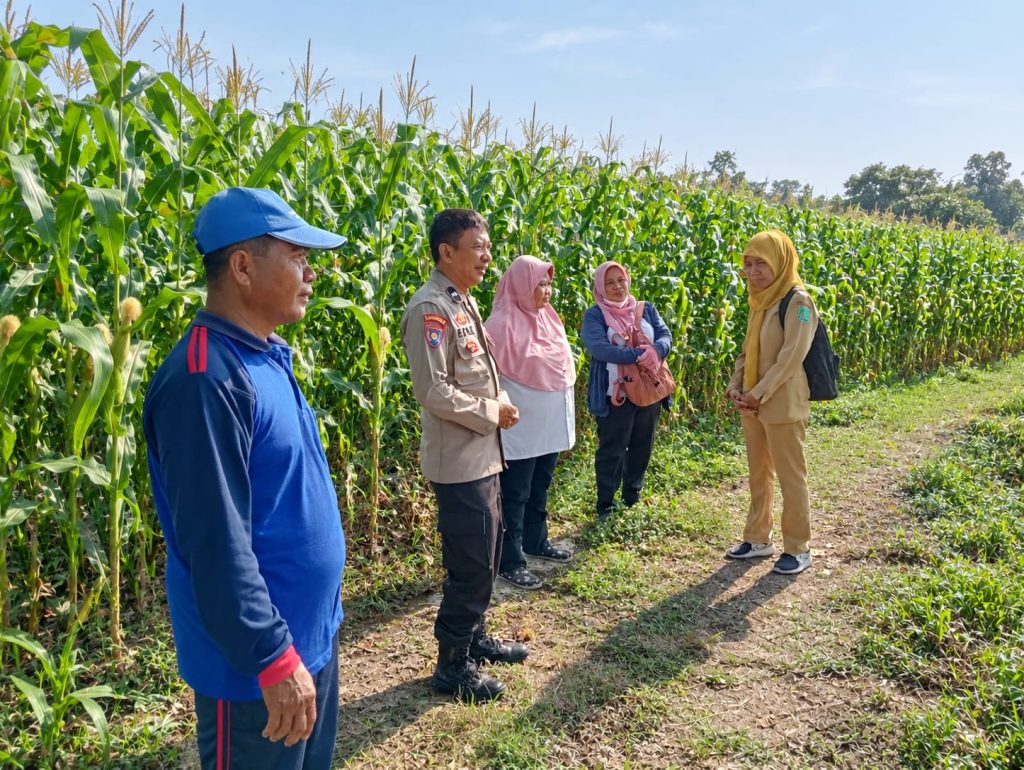 Sinergi Polri dan PPL, Dukung Ketahanan Pangan di Desa Wonojati Kecamatan Gondang Wetan