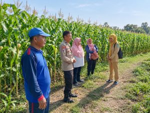 Sinergi Polri dan PPL, Dukung Ketahanan Pangan di Desa Wonojati Kecamatan Gondang Wetan